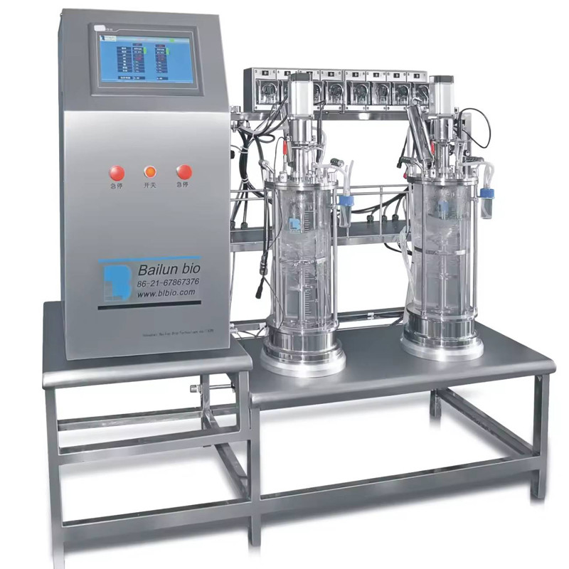 Solid Bioreactor Used in Microorganism Culture