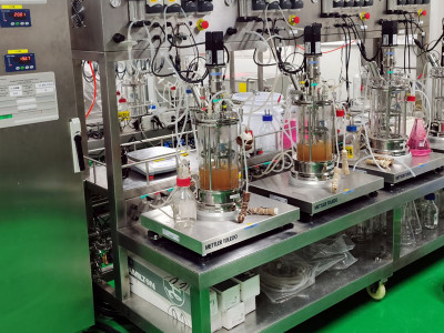 What are the upstream, midstream, and downstream of the synthetic biology industry chain?