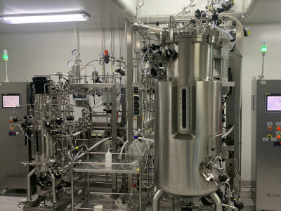 Fabricantes de vacunas veterinarias en China: el papel de los fermentadores y biorreactores