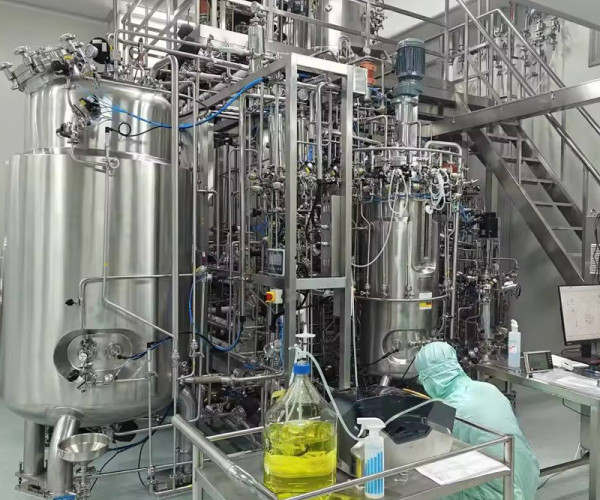 Cell Culture Fermenter vaccine production stainless steel reactor