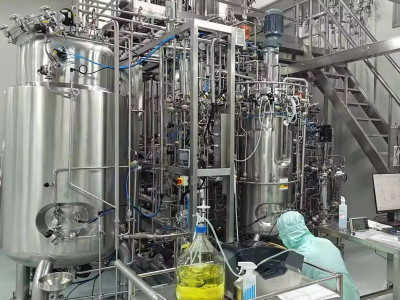 Why is solid-state fermentation irreplaceable for thousands of years?