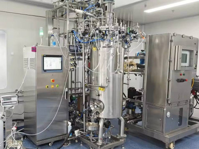 The World of 5000-Liter Fermenters and Bioreactors: Prices and Insights in the Bio-Fermentation Field