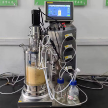 The Laboratory Small Glass Bioreactor Fermenter: A Versatile Tool in Scientific Research