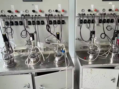 La versatilidad y los avances de los biorreactores: algas, cultivos celulares y más