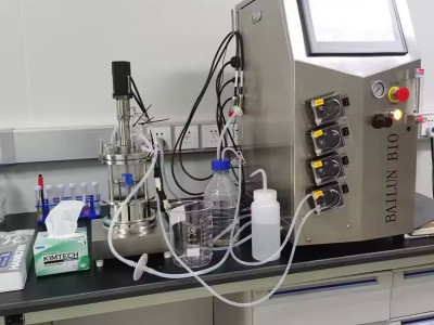 Revealing Microbial Fermentation: Shake Bottle Culture vs. Tank Culture (Differential Analysis, Balance Method)