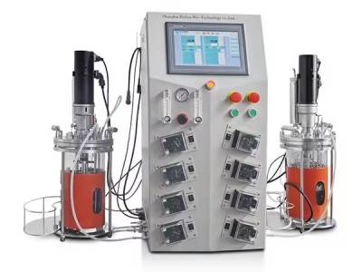 How to achieve a breakthrough in high-density fermentation of Bifidobacterium bifidum?