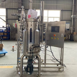 borosilicate glass fermenter bioreactor reactor Fermenting equipment mechanical agitation