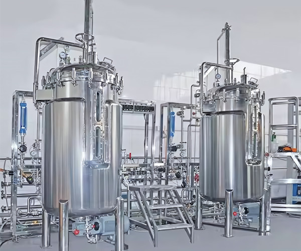 borosilicate glass fermenter bioreactor reactor Fermenting equipment mechanical agitation