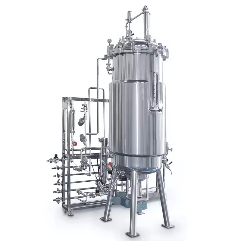 Stainless Steel Fermenter Bioreactors: Driving Industrial Fermentation Processes