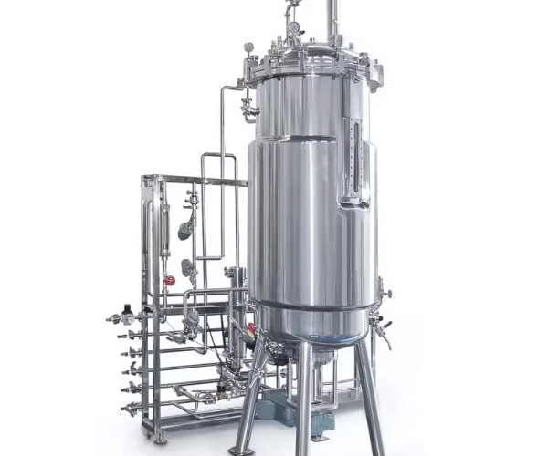 Microbial Glass Fermenter Lab Bioreactor Fermenting equipment mechanical agitation