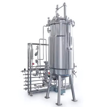 Fermentador de vidro microbiano Laboratório Biorreator Equipamento de fermentação agitação mecânica