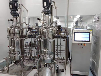 How to make software "understand" fermentation metabolism?