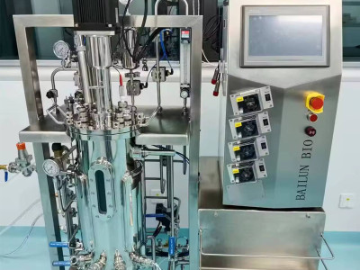 Core contradictions, common methods, and practical suggestions for pilot scale amplification