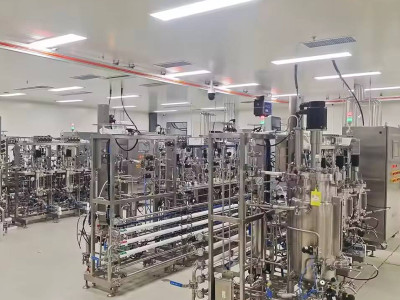 The 30-Gallon Fermenter: Fermenting Equipment, Bioreactor, and Price Considerations