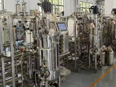 El mundo de los fermentadores y biorreactores de 5000 litros: precios y más