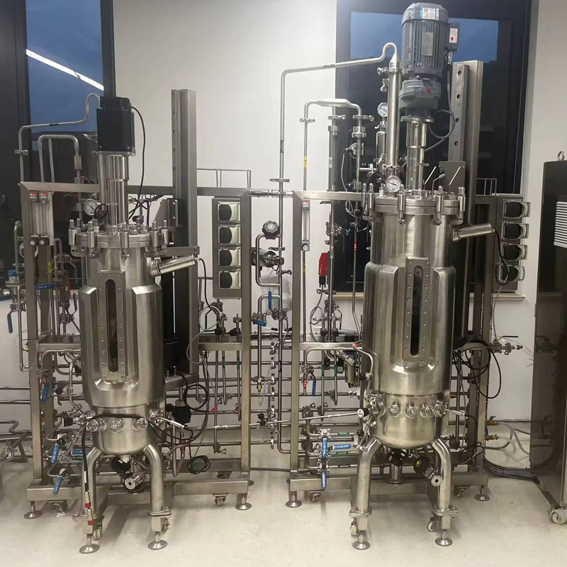 Stainless Steel Bioreactor Fermentation