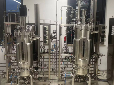 Fabricantes de vacunas veterinarias en China: el papel de los fermentadores y biorreactores