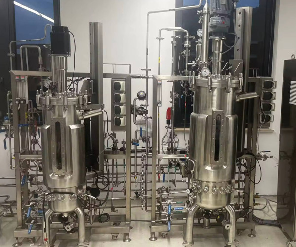 Algae Bioreactor bioreactor Fermenter Industrial pilot scale in biotechnology fermenter