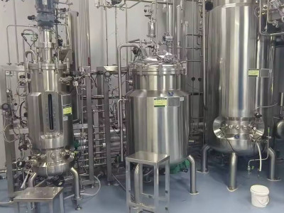 The Intersection of Stainless Steel Fermenters, Bioreactors, and Breast Cancer Research: Insights and Challenges