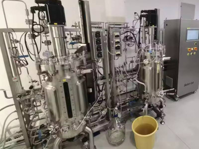 Fermentors and Bioreactors: Revolutionizing Cell Culture and Fermentation in the Laboratory