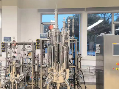 Fermentación en tanques: el papel de los reactores de fermentación y biorreactores en el mercado de venta