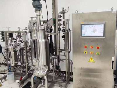 Bioreactors: From Small Glass Setups to Stirred Systems