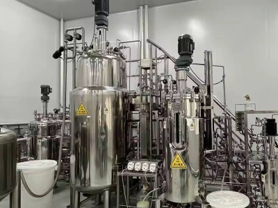 Why does industrial fermentation require tanks? The '3 Truths' Behind the Yield Gap between Shake Bottles and Fermentation Tanks