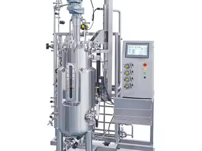 Biorreactores y bacterias: el papel de los fermentadores de acero inoxidable