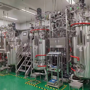 Bioreactor Industrial Stainless Steel Fermenter International Technology Cell Culture