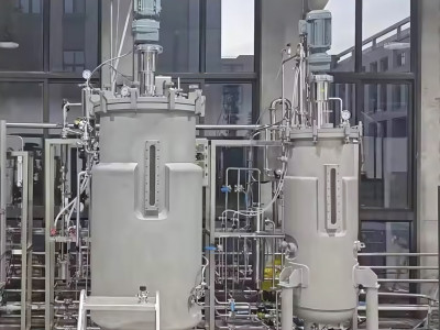 El mundo de los fermentadores y biorreactores de 5000 litros: información sobre los precios y el papel de los biofermentadores