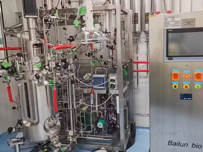 Perfusion Fermentor Bioreactor: Revolutionizing Bioprocesses