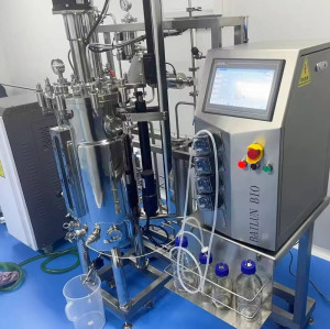 Chemical Engineering Bioreactor Ferment stainless Steel Bioreactor equipment Reactor