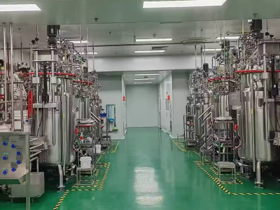 Cell Culture Bioreactors: Unveiling the Potential of Mini Lab and Beyond