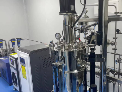 Cell Culture Bioreactors: From Mini Lab to Large-Scale Applications