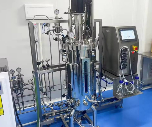 Ingeniería química Biorreactor Equipo de biorreactor de fermentación de acero inoxidable Reactor