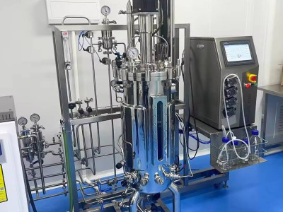 Temporary Immersion Bioreactor Rita: A Breakthrough in Plant Biotechnology