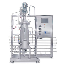 Bioreactor Bacteria stainless Steel Fermenter 50 liter stainless continuous bioreactor