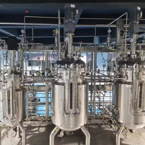 Chinese Brand Innova Solid Fermentation Fermenter 50 liter stainless bioreactor Reactor