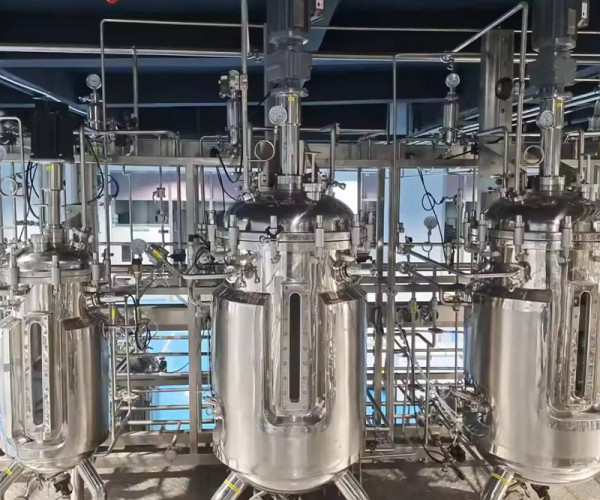 Fermentador paralelo para fermentador de bactérias Biorreator contínuo de aço inoxidável de 50 litros
