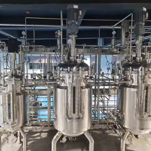 Bioreactor Induced Pluripotent Stem Cell Fermenter 50 liter stainless bioreactor Reactor