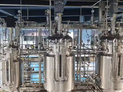 Биореактор для индуцированных плюрипотентных стволовых клеток: раскрытие потенциала регенеративной медицины