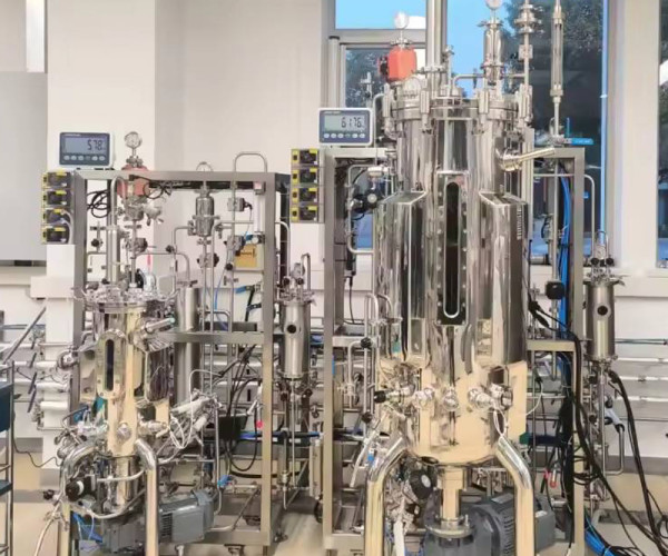 Reactor biorreactor de acero inoxidable de 50 litros de fermentación sólida de marca china Innova