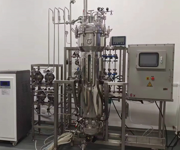 Equipo de cultivo de tejidos fermentador sólido de material de acero inoxidable biorreactor anaeróbico
