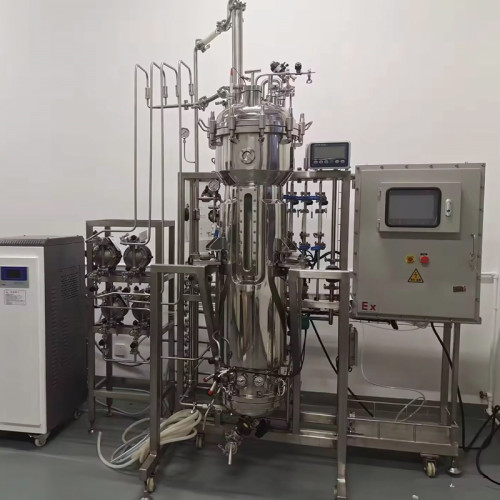 Electric single Use Bioreactor Fermenter tissue culture equipment anaerbico bioreactor