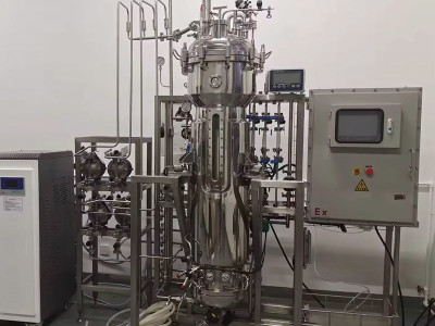 Glass bioreactor - precise and efficient, the ideal choice for scientific research and production!