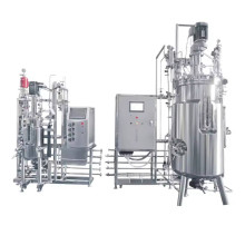 Large Fermenter Bioreactor Fermenter tissue culture equipment anaerbico bioreactor