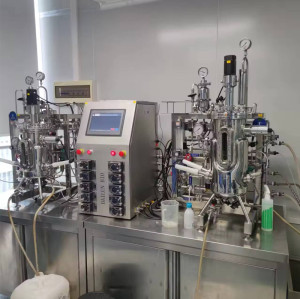 Cell Culture Parallel Multiple Bioreactor pressure fermenter