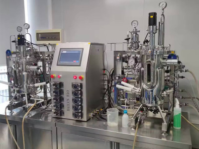 Bioreactors for Batch Fermentation in Microbiology: Unveiling the Potential and Challenges