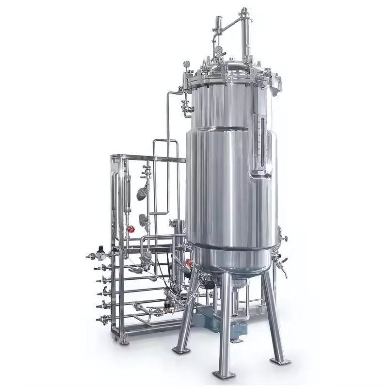 Insights into the Automatic Fermenter Bioreactor (100L) for Bacteria