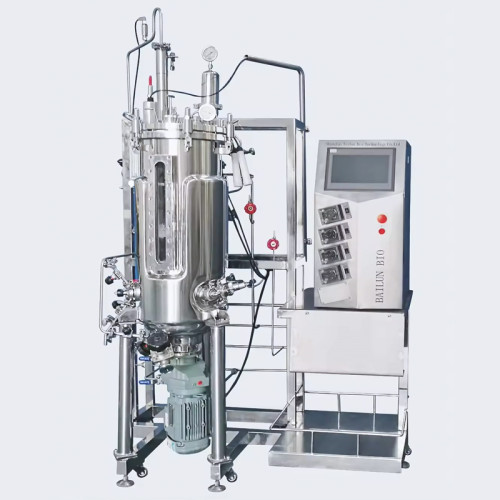 Bioreactor Fermenter For Microbial Cell Culture New arrivals stainless steel fermenter